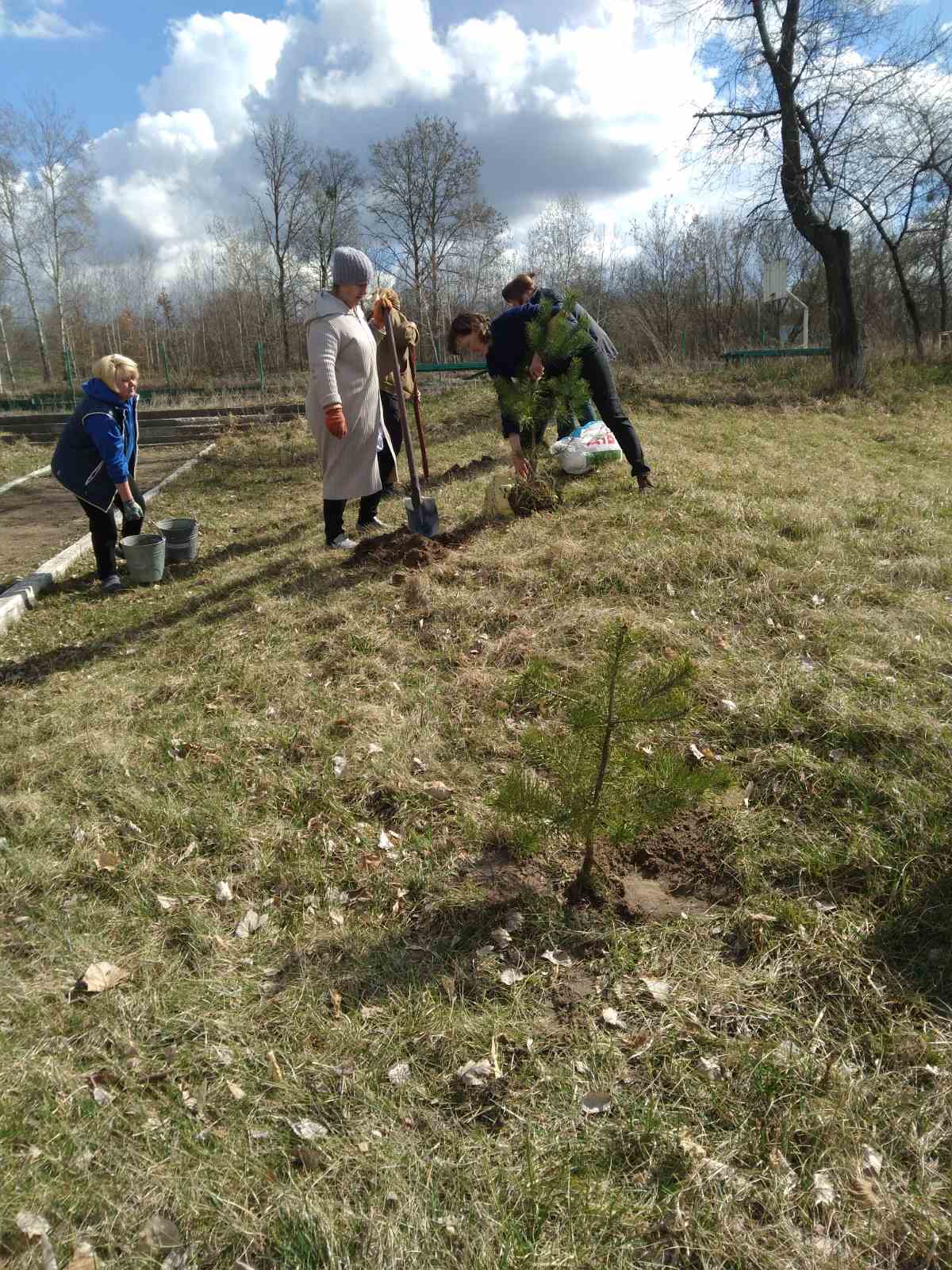 Дерево Перемоги